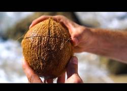 Enlace a Abriendo cocos de manera fácil... y con paciencia
