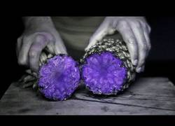 Enlace a Así se ven las frutas con luz ultravioleta