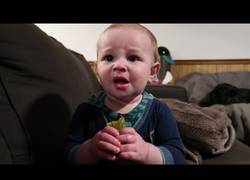 Enlace a Este niño prueba por primera vez un enorme pepinillo y no le gusta nada...