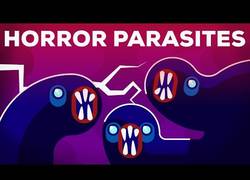 Enlace a Los parásitos más terribles