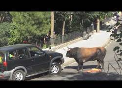 Enlace a El toro que embistió un todoterreno 4x4 en unas fiestas españolas