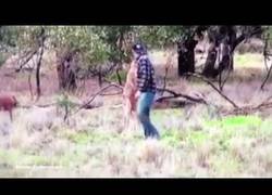 Enlace a Este hombre le da su merecido a un canguro por estrangular a un perro