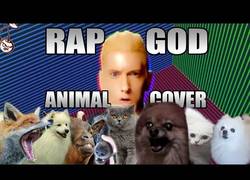 Enlace a Los animales rapeando igual o mejor que Eminem con Rap God