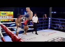 Enlace a El brutal KO de José Aldo a su contrincante