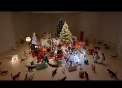 Enlace a Esto es el auténtico paraíso para los gatos