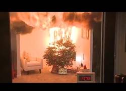 Enlace a Mira como arde un árbol de Navidad si no lo riegas cada día