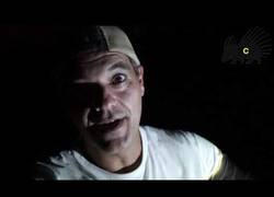 Enlace a ¿Habéis visto alguna vez a un grillo haciendo su característico sonido?