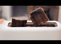 Enlace a El horrible sufrimiento en el primer mundo