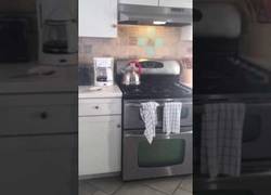 Enlace a ¡Corre! ¡Esto está a punto de explotar!