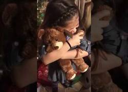 Enlace a Su abuelo murió hace dos años y ahora le han regalado un osito que tiene grabada su voz