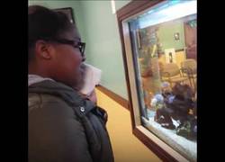 Enlace a Esta chica está sufriendo mientras sigue anestesiada por los peces que se ahogan