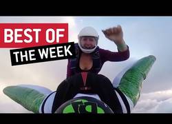 Enlace a Los mejores vídeos de la primera semana de 2017