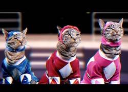 Enlace a Así serían los Power Rangers protagonizado por gatos