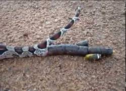 Enlace a Ni ir al baño tranquilo sin que te graben