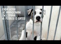 Enlace a Un viaje al CPA de Madrid