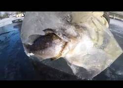 Enlace a Esto ocurre cuando picas un gran trozo de hielo en un lago helado