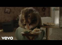 Enlace a Cocinando una mini comida para un invitado especial - El nuevo videoclip de Katy Perry