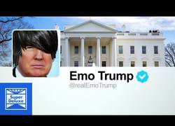 Enlace a Los tuits de Donald Trump son en realidad una canción emo del año 2000