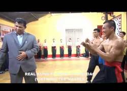 Enlace a El maestro kung-fu que nadie puede derrotar