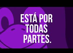 Enlace a ¿Qué es Linux y por qué importa? para que se usa, como está hecho y cual es su historia