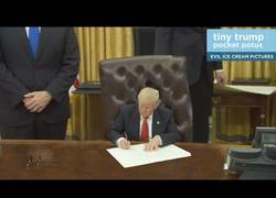 Enlace a Donald Trump en tamaño mini está revolucionando la red