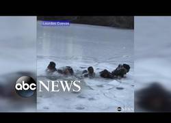 Enlace a NOTA MENTAL: Nunca jugar sobre el hielo de Central Park