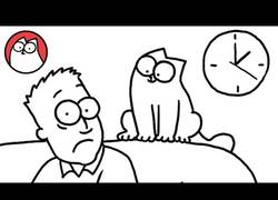 Enlace a La estresante vida de tener un gato