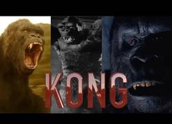 Enlace a Así ha cambiado King Kong desde sus inicios hasta la actualidad