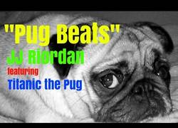 Enlace a El pug que sirve para crearte una base genial para tus canciones