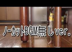 Enlace a La ninfa que era tímida y no quería ser grabada