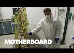 Enlace a Dentista mexicano formula como rehidratar los cadáveres para identificarlos [Imágenes Explícitas]