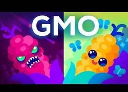 Enlace a ¿Los alimentos transgénicos son buenos o malos?