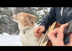 Enlace a Sale con su perro un día nevado y hace un cover mágico de un tema de La La Land