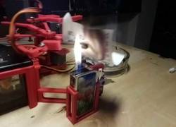 Enlace a Cada tuit que escribe Donald Trump este robo lo imprime y lo quema automáticamente