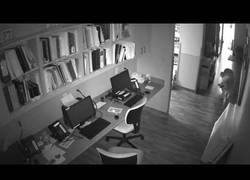 Enlace a A este perro no hay nada que le pare y se escapa de un veterinario