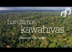 Enlace a Al descubierto una trama genocida para abrir el territorio de una tribu amazónica no contactada