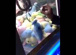 Enlace a Trolea a la grúa de las ferias de una forma genial para llevarse premio