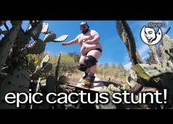 Enlace a Zach Holmes conoce a Steve-O y le hace lanzar sobre muchos cactus y duele mucho el resultado