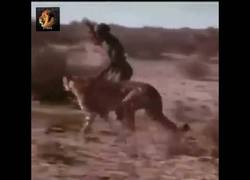 Enlace a Así roban las tribus africanas la caza a los leopardos