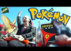 Enlace a Sale a la luz lo que sucedió en el Ferrari Land y la Paloma