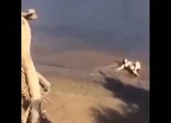 Enlace a Cuando intentas hacer el salto del ángel pero no va como esperabas