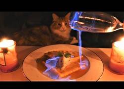Enlace a Este japonés cocina unas deliciosas crepes mientras sus gatos no pierden ojo de la receta