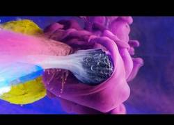 Enlace a Esta maravilla sale cuando juntas el arte con la edición por ordenador