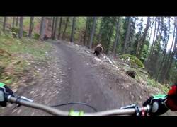 Enlace a El terrible susto de estos ciclistas en mitad de la montaña durante un descenso