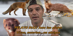 Enlace a El gran mensaje de Frank Cuesta contra Pelayo al decir que le gustan las pieles de animales