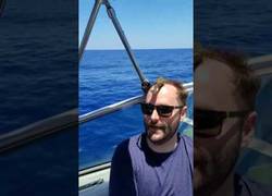 Enlace a Este pajarito ya ha encontrado su lugar para descansar y no lo piensa abandonar