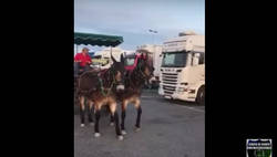 Enlace a Esto es aparcar una carreta con unos burros con muchísimo estilo