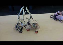 Enlace a La insólita pelea entre dos pollos cyborg (¡que futuro tan desperdiciado!)