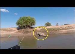 Enlace a Intentan pescar a un cocodrilo y se llevan una terrible sorpresa