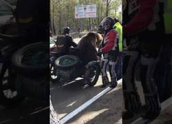 Enlace a El gran paseo en moto de este oso que revolucionó su ciudad